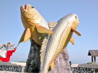 　黃魚的故鄉。（圖／文：陳鵬雄）