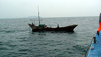 　海巡保育巡邏強力出擊，在南竿海域緝獲大陸漁船閩連漁83097號違法電魚，並查扣電纜線200公尺。（圖：馬祖海巡隊提供）