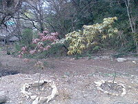 由社區成員一手打造的清水秘密花園,本週六舉辦重返秘密花園活動,邀請鄉親共同見證社區成長。(圖:清水社區發展協會提供)