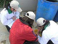 衛生局訂本月三十日進行登革熱病媒蚊密度複查,以全面降低登革熱病媒蚊密度。(圖:連江縣政府衛生局提供)