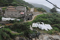 　綠油油坡地出現一大片白布，原來民眾在覆草植瓜。（圖／文：陳鵬雄）