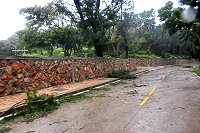 　馬祖地區昨午後感受「鳳凰」颱風威力，出現明顯的強風豪雨，各道路都有不少斷枝落葉，影響交通安全的都經通報加以清除。（圖／文：曹重偉）