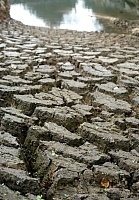 圖與文：張登傑