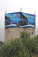 欲蓋彌彰／圖與文：陳鵬雄