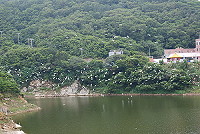 　勝利水庫上方，白鷺鷥成群飛舞，羨煞眾人。（圖／文：鄭慧菁）