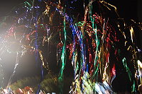 　全村一起來熱鬧！（圖與文：張登傑、陳樂團）