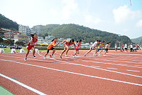 　熱情奔放　活力四射。（圖／文：陳鵬雄、陳其敏、鄭慧菁）
