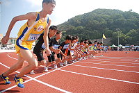 　金馬澎同較勁。（圖／文：陳其敏、鄭慧菁）