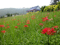 　全村一起來熱鬧！（圖與文：張登傑、陳樂團）