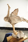 　全村一起來熱鬧！（圖與文：張登傑、陳樂團）