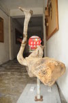 　全村一起來熱鬧！（圖與文：張登傑、陳樂團）