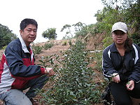 　邱垂旺夫婦花了一年半時間，從整地、除草到茶樹長成，他們說，不在乎付出，只在乎追田園的夢。（圖／文：劉秋月）