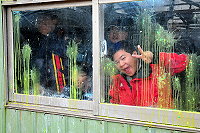 　全村一起來熱鬧！（圖與文：張登傑、陳樂團）