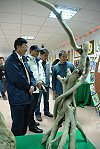 　全村一起來熱鬧！（圖與文：張登傑、陳樂團）