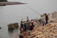 　一群釣友趕在冷氣團來襲前到海邊釣魚，希望能為自家的餐桌添些美味。（圖／文：鄭慧菁）