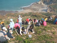 　淨灘活動、百合移植活動，吸引東莒大小朋友們為大自然盡心力。（圖／文：林冰芳）