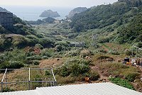 　東引鄉農業人口不斷老化凋零，燕秀農田的耕種面積也日益縮減。（圖／文：陳其敏）