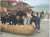 縣府教育局支援替代役男,幫助牛角淨灘民眾搬運漂流木。(圖:牛角社區發展協會提供)