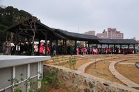 　全村一起來熱鬧！（圖與文：張登傑、陳樂團）