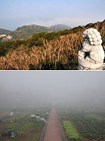 (上圖)又見大霧瀰漫,空中交通是全面停擺,海上交通也受影響,從雲台山高處眺望機場及北竿方向,全部被濃霧所覆蓋。(圖/文:曹重偉);(下圖)濃霧瀰漫,縣府前山隴牌樓完全消失在霧中。(圖/文:邱竟瑋)