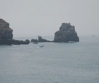 　東北季風不興，此時又到了追逐鱸魚的好時節。（圖／文：陳其敏）