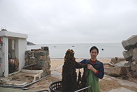 　縣府建設局輔導漁民種群帶菜已見成效。（圖／文：邱竟瑋）
