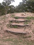 　全村一起來熱鬧！（圖與文：張登傑、陳樂團）