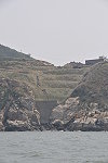 　復育有成。（圖／文：陳鵬雄）