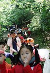 東引國中小師生選擇出走拜訪春天,歡度兒童節暨青年節。(圖/文:陳其敏)