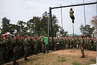 指揮官鄭中將日前與副指揮官陳將軍、總士官長張士官長、防衛部各處、組長、幕僚群及各級主官(管)前往成功山訓練場觀看「國軍體能戰技示範」。(圖/文:黃俊智)