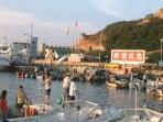 魚樂一下　旅遊訴求／文與圖：宋志富