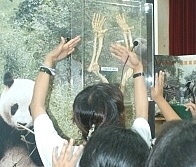 原來科學這麼有趣！（圖與文：張登傑）