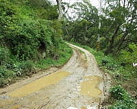 懷道樓往風山戰備道配合垃圾掩埋場必須重新舖築RC路面。(圖/文:陳鵬雄)