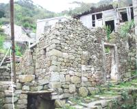 　亂中有序／圖與文：陳鵬雄
