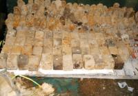 后澳水庫工程預定地進行掃雷工作,成果豐碩,大小地雷琳瑯滿目。(圖/文:曹重偉)
