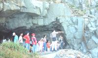 東引鄉生態夏令營活動，學員在濱海地方欣賞黑尾鷗曼妙的飛行姿勢。（圖／文：陳其敏）