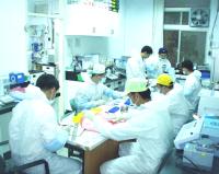 國防大學醫學院調查小組昨日抵馬進行鼠類傳染病疫情調查,將捕獲老鼠抽血進行檢驗。(圖/文:曹重偉)