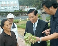 哥倆好老闆娘準備把田裡採收好的青菜拿回家,途中遇到省主席顏忠誠問種田辛不辛苦、青菜價錢好不好。(圖/文:張登傑
