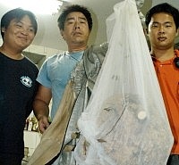 消防局小隊長陳正聲(中)與兩名替代役男,前往住戶摘拿虎頭蜂窩,蜂窩大約五十公分,體積大小相當嚇人。(圖/文:張登傑)