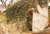 馬祖防空洞被人所遺忘在荒煙蔓草中,未能妥善保存與藝術裝置利用,相當得可惜。(圖/文:張登傑)
