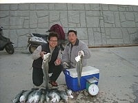 　莒光盃海釣比賽，釣友喜悅歸來。（圖／文：陳樂團）