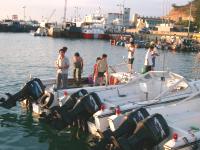 鯷魚報到，福澳漁港岸邊、船上擠滿人潮，形成一幅難見的釣魚盛況。（圖／文：宋志富）